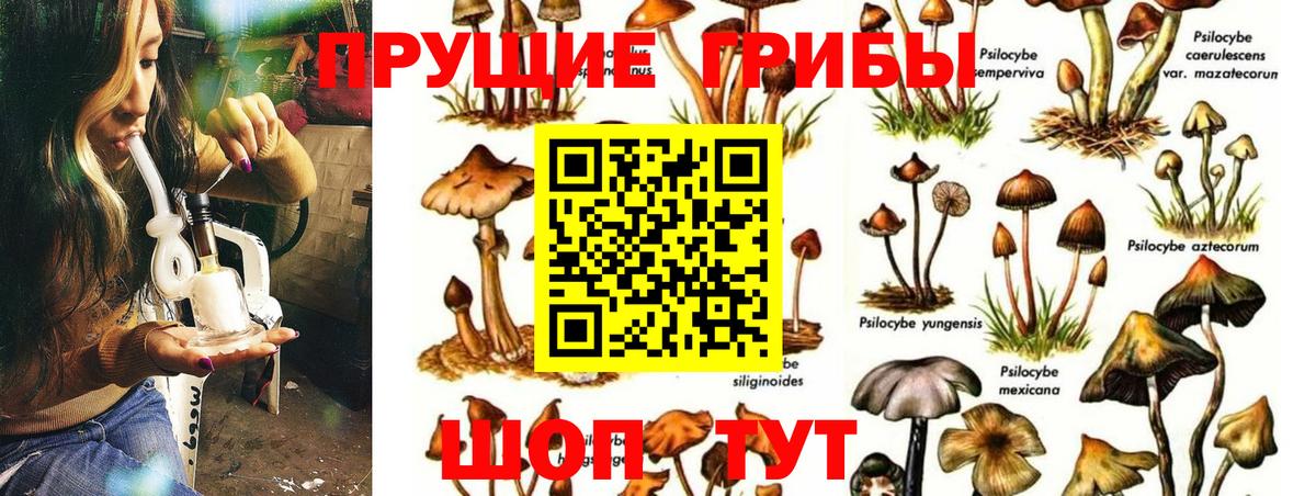 Галлюциногенные грибы MAGIC MUSHROOMS Муром